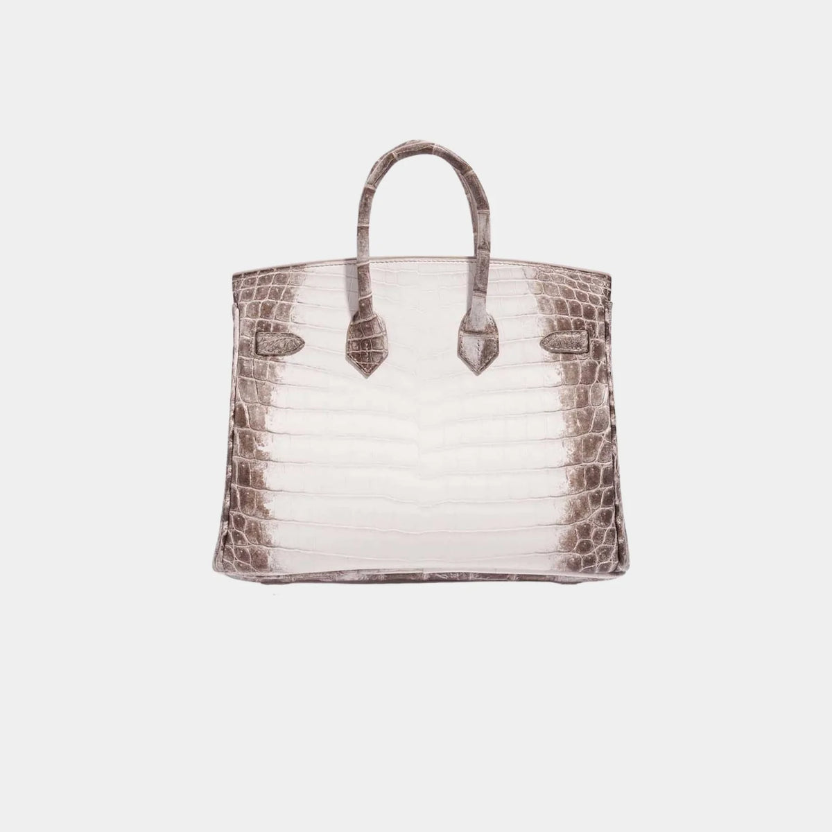Hermes Birkin 25 Himalaya