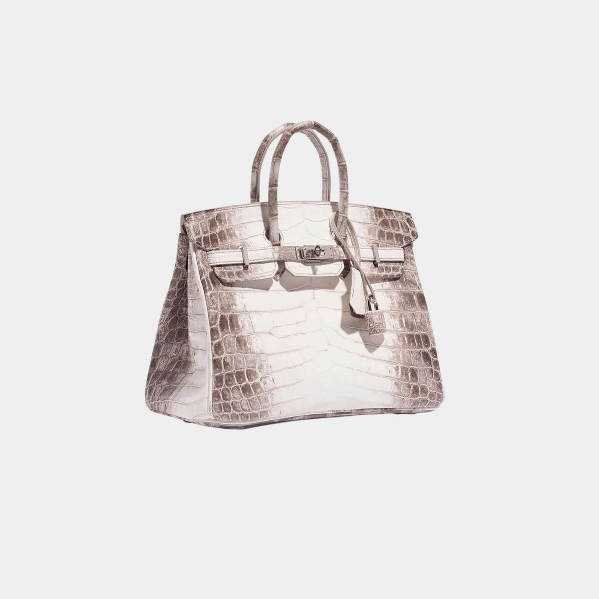 Hermes Birkin 25 Himalaya