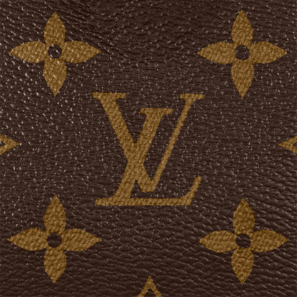 Louis Vuitton Nano Speedy