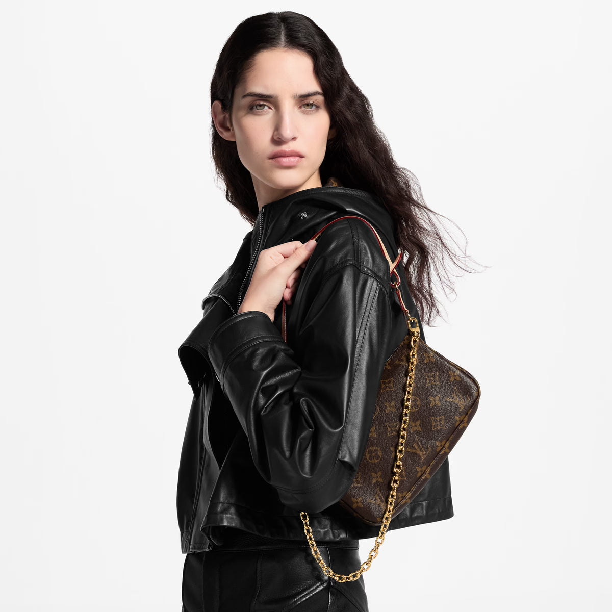 Louis Vuitton Pochette Accessoires